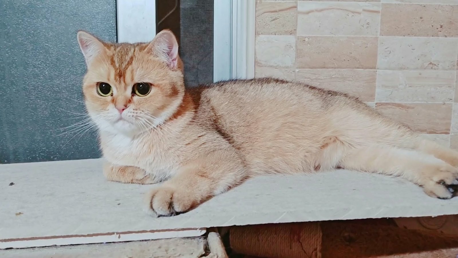 Luna