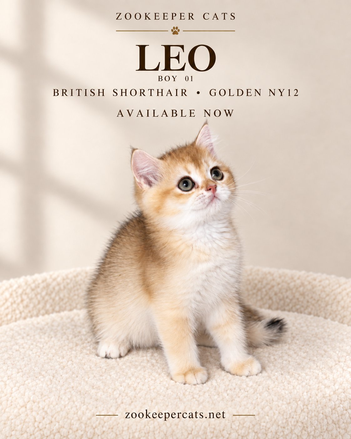 LEO